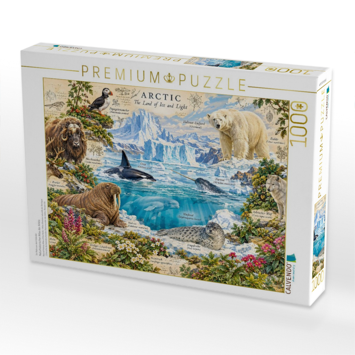 Naturhistorischer Atlas der Arktis