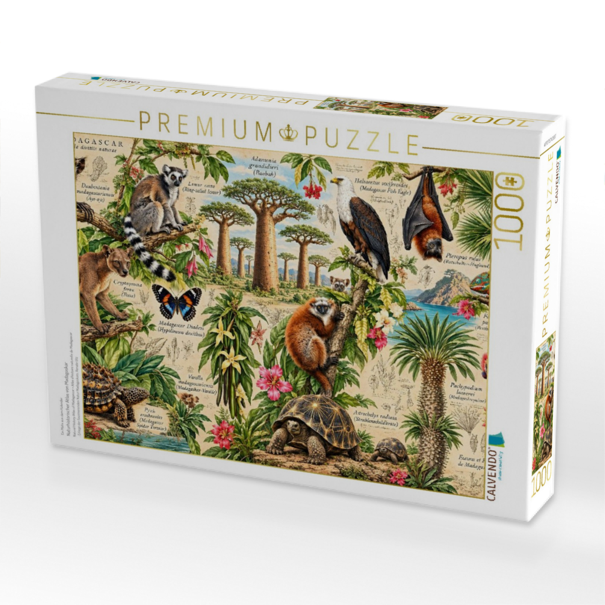 Naturhistorischer Atlas von Madagaskar