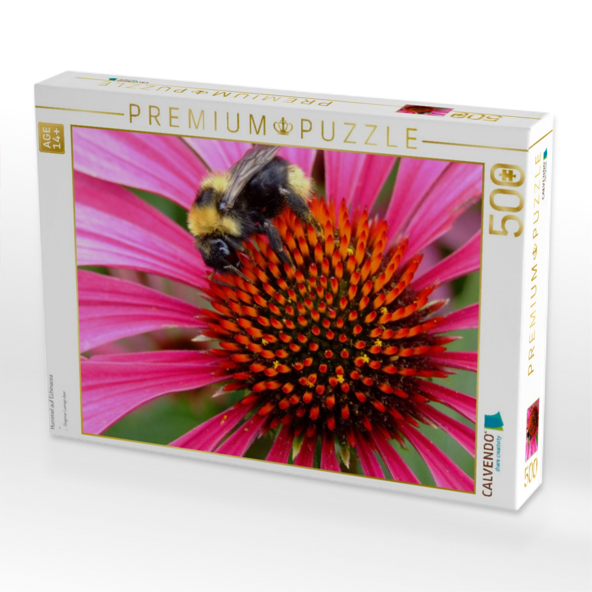 Hummel auf Echinacea