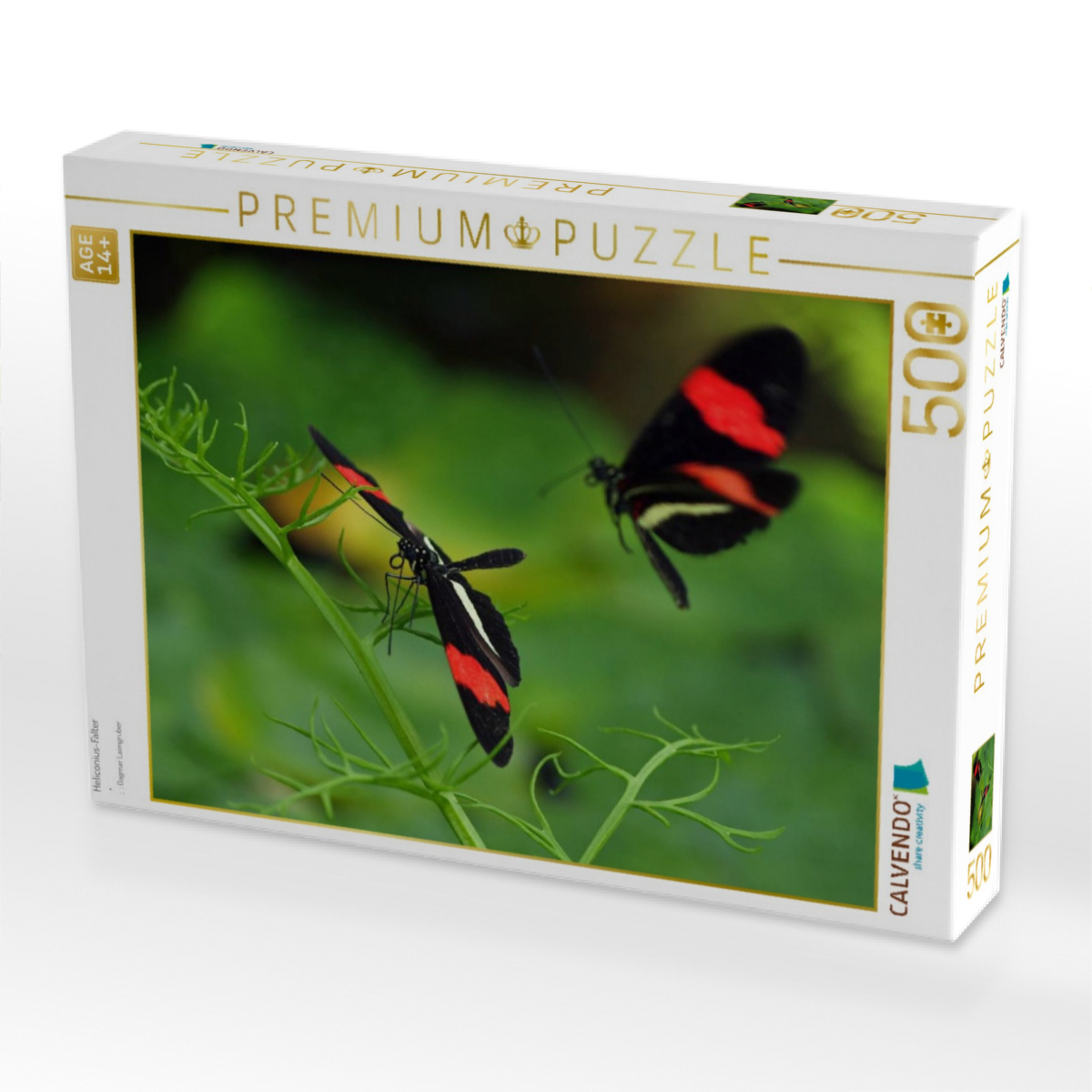 Heliconius-Falter