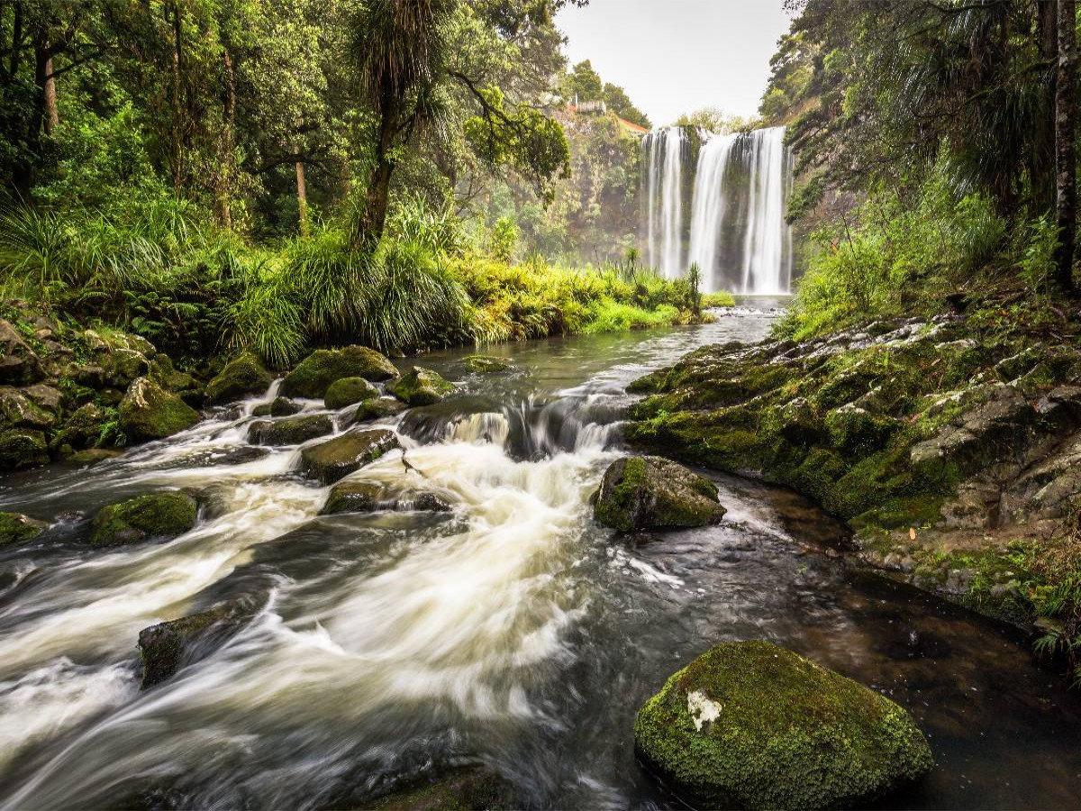 Whangarei Falls - Nordinsel