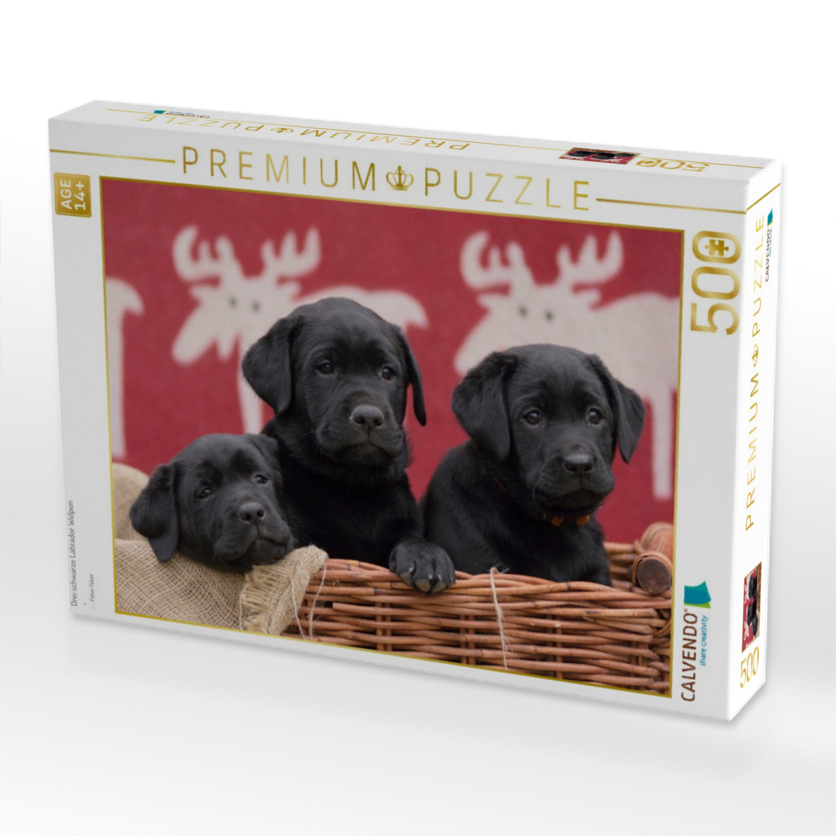 Drei schwarze Labrador Welpen