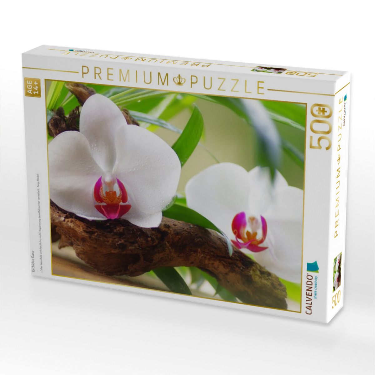 Orchidee Oase