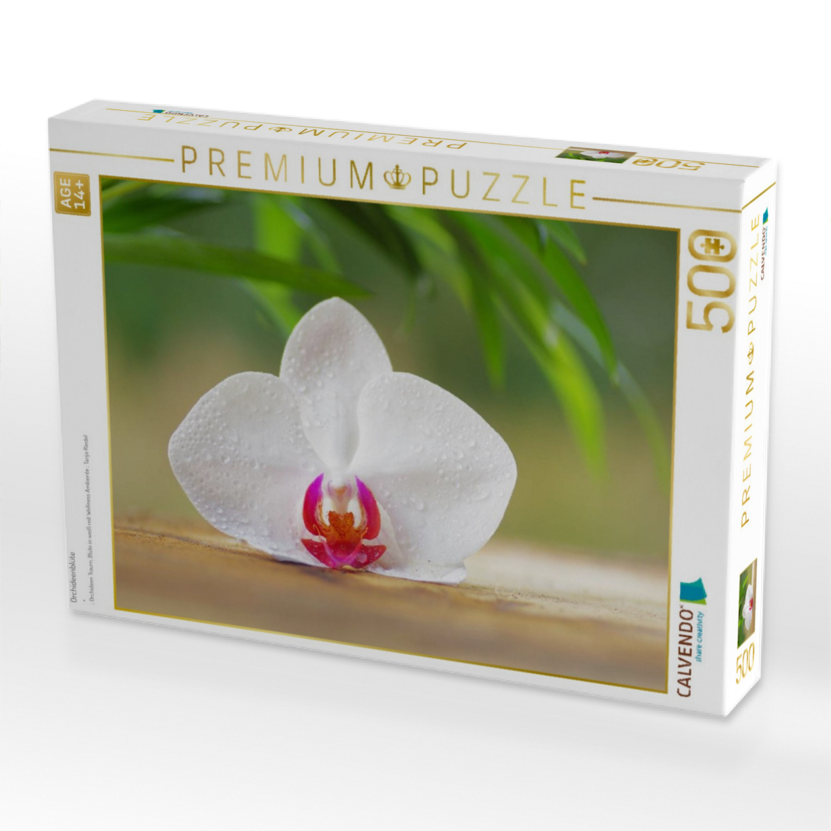 Orchideenblüte