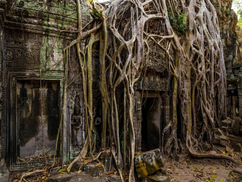 Ta Prohm