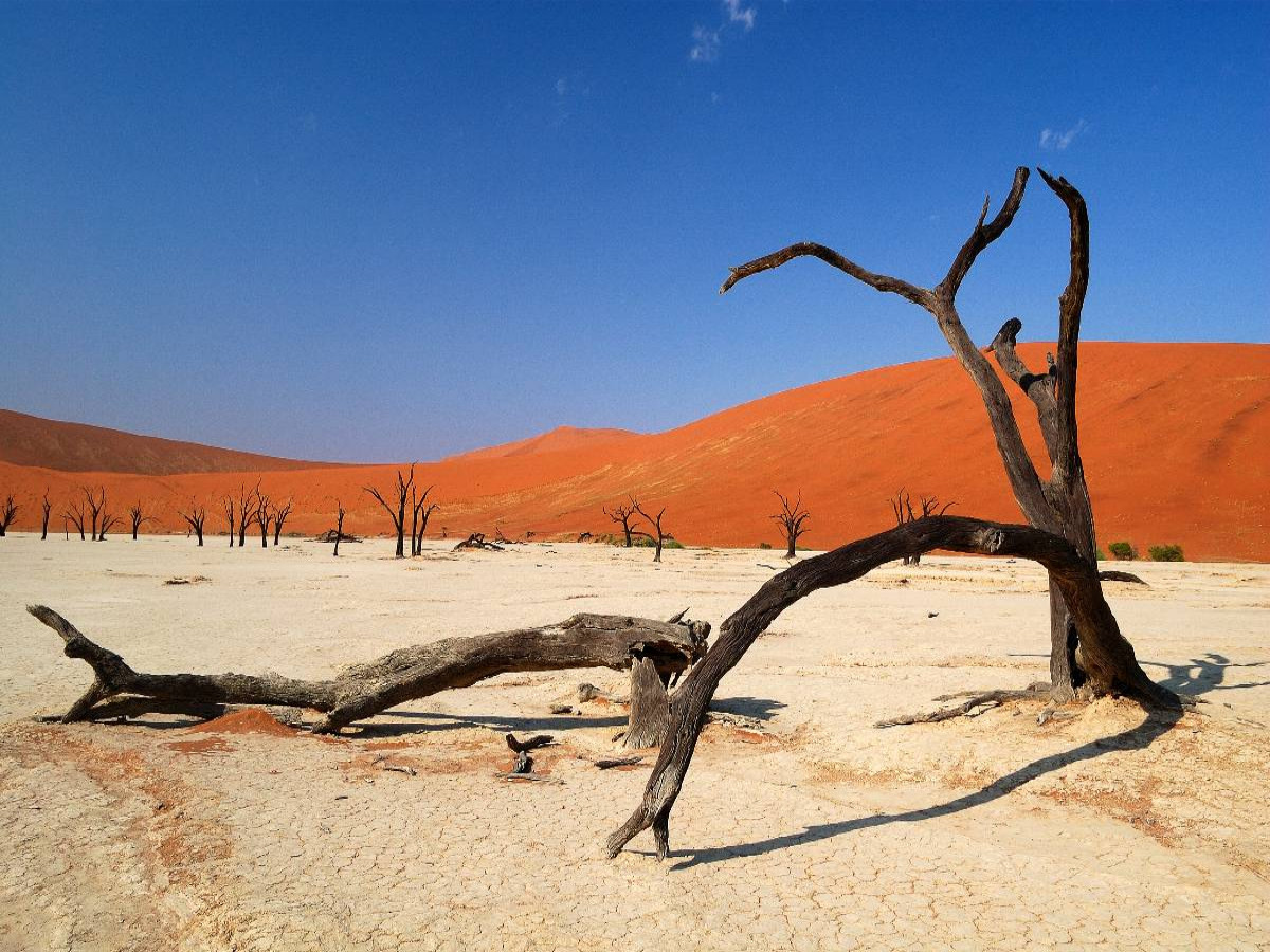 Tote Bäume im Deadvlei