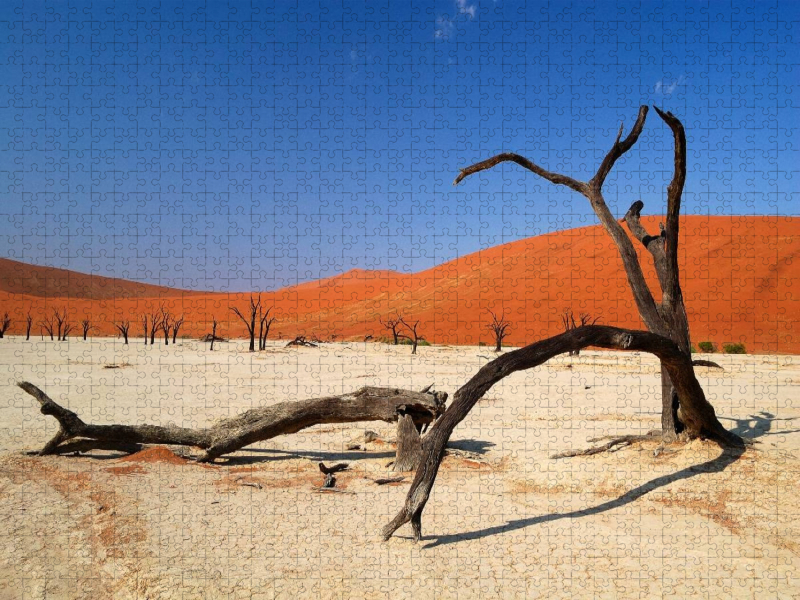 Tote Bäume im Deadvlei