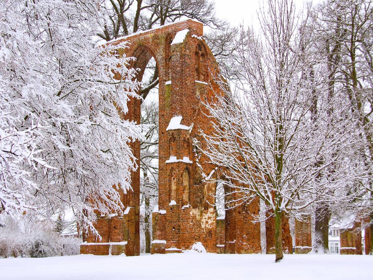 Klosterruine Eldena