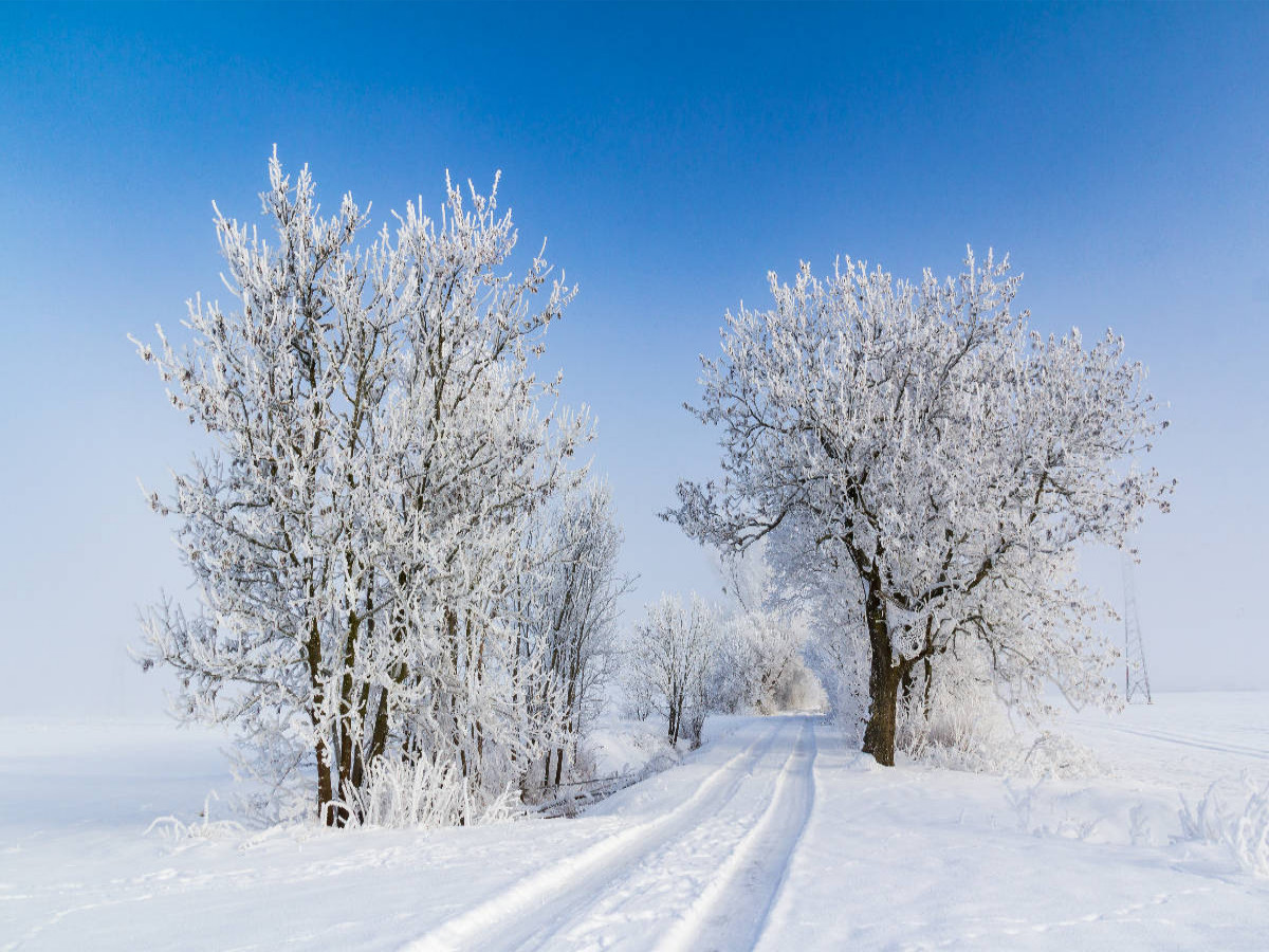 Winterlicher Weg bei greifswald