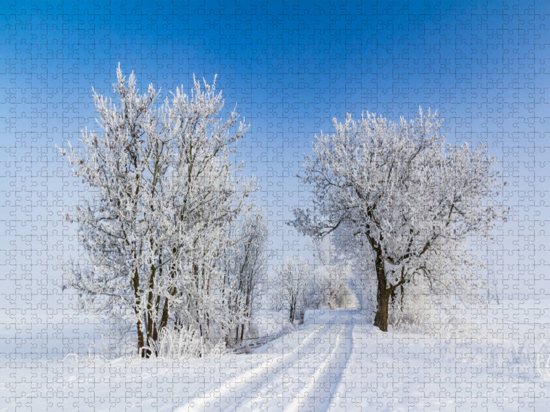 Winterlicher Weg bei greifswald