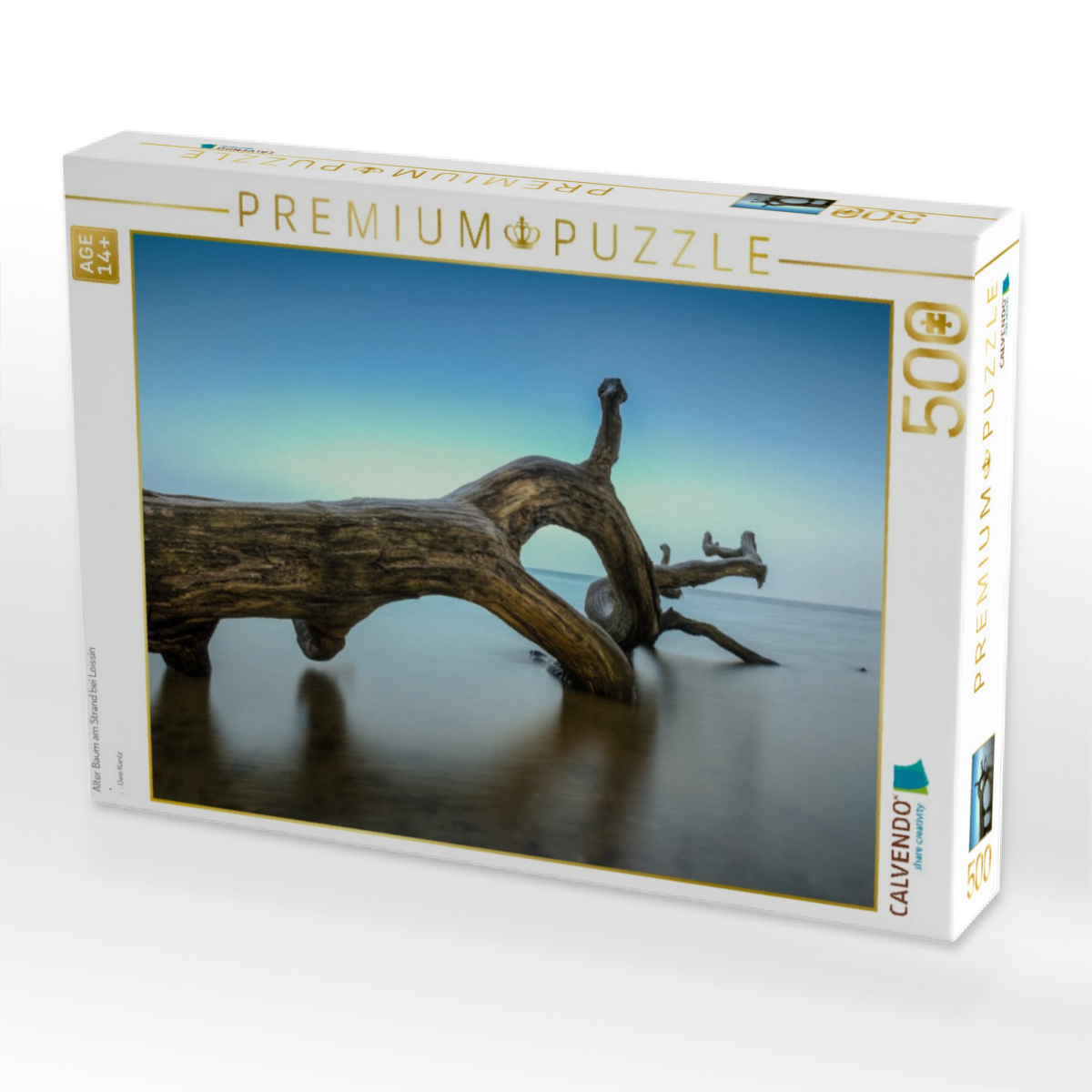 Alter Baum am Strand bei Loissin