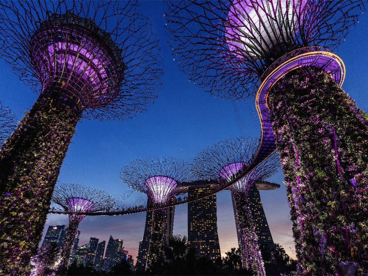 Garden by the Bay - Singapur