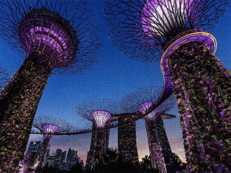 Garden by the Bay - Singapur
