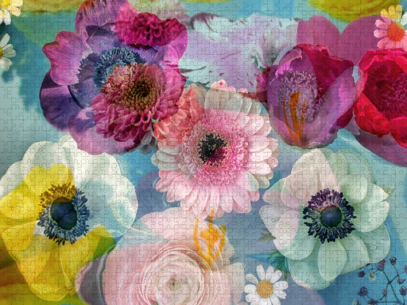 Anemonen in Wasser