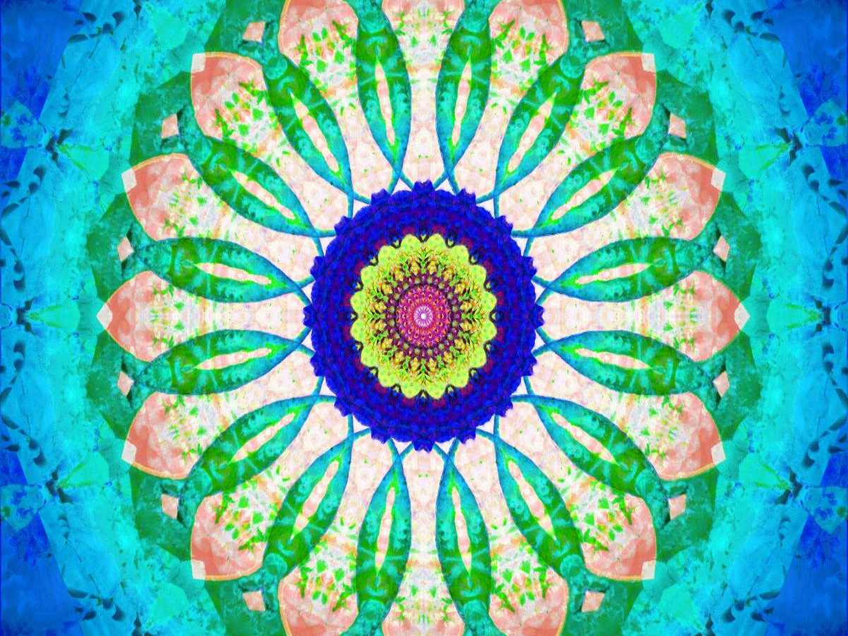 Mandala Of Nature