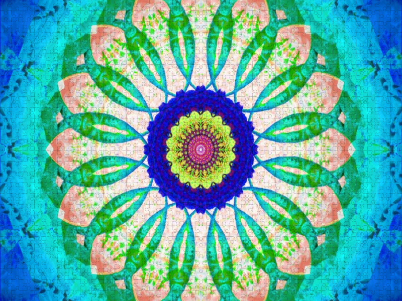 Mandala Of Nature