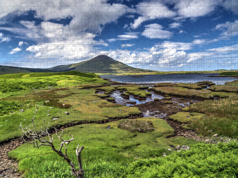 Moorlandschaft im County Mayo