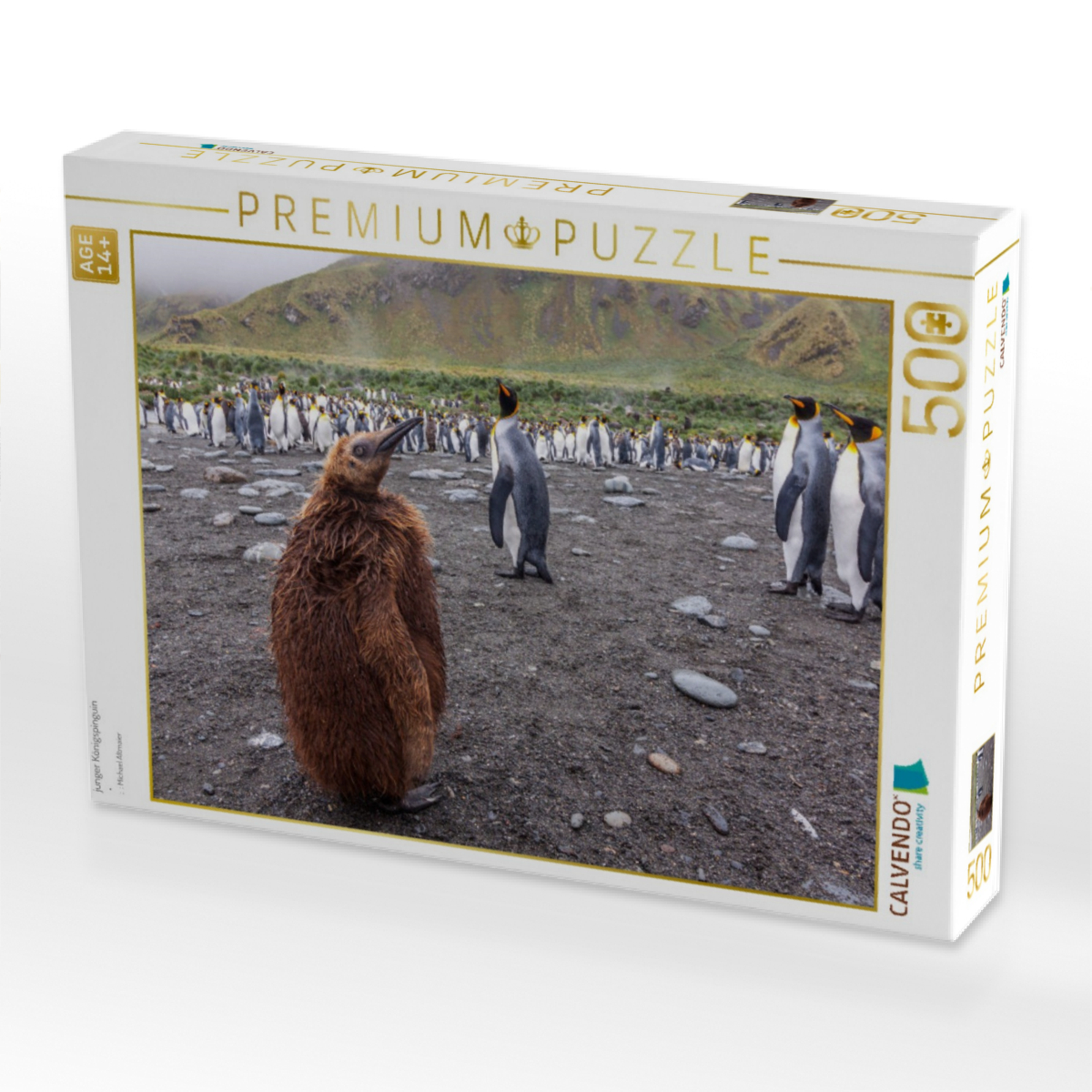 junger Königspinguin