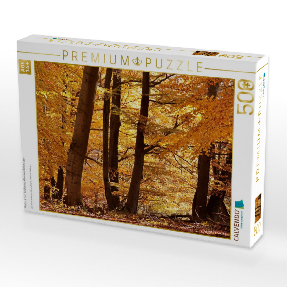 Herbstlicher Buchenwald bei Niedernhausen