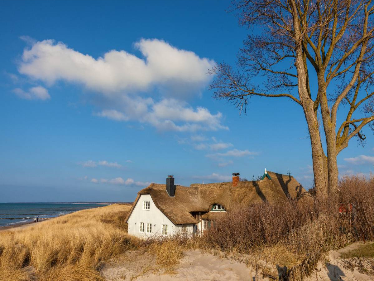 Altes Deichhaus in Ahrenshoop