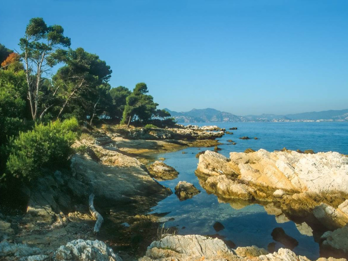 Unberührte Küste auf der Ile St. Honorat