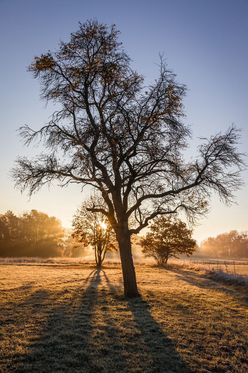 Morgenstimmung in der Talniederung bei Niederseelbach im Taunus, Hessen