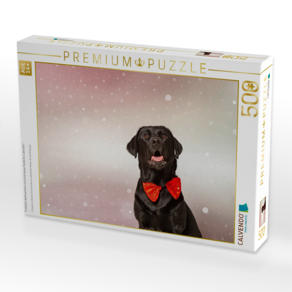 Fröhliche Weihnachten wünscht dieser festliche Labrador!