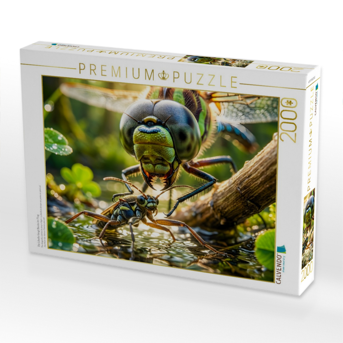 Die Libelle fängt Beute im Flug