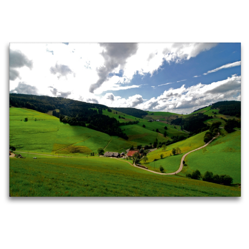 Frühling, ein Schwarzwaldtal erwacht