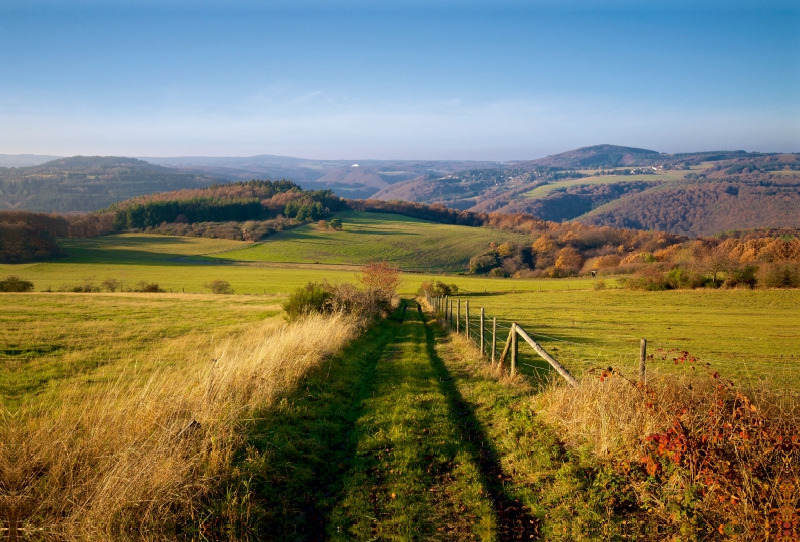 Ein Motiv aus dem Kalender Traumhafte Wege durch die Eifel