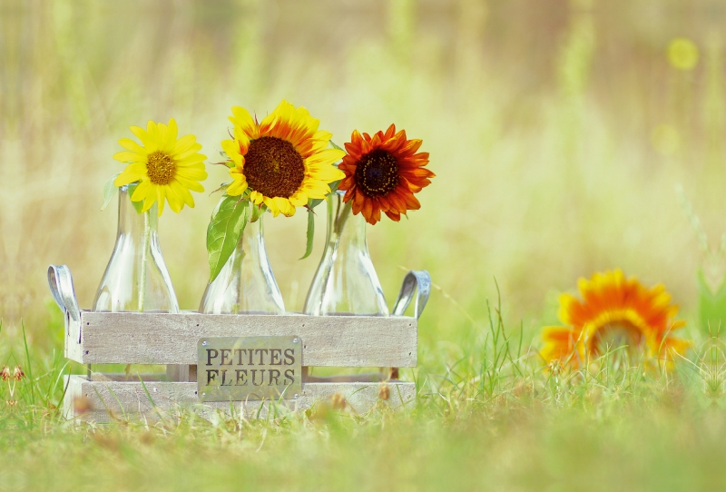 Ein Motiv aus dem Kalender Petites Fleurs