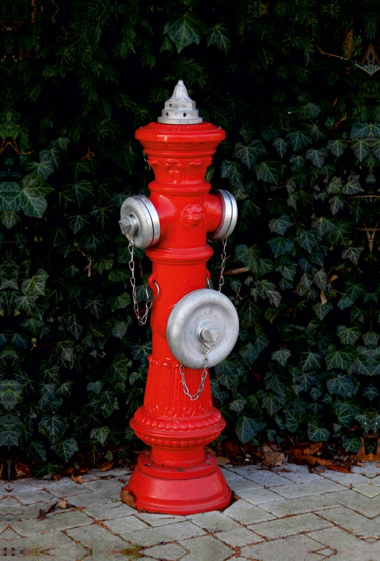 Roter  Hydrant