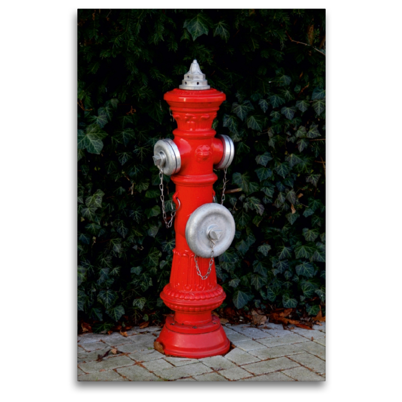 Roter  Hydrant