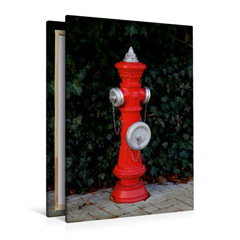 Roter  Hydrant