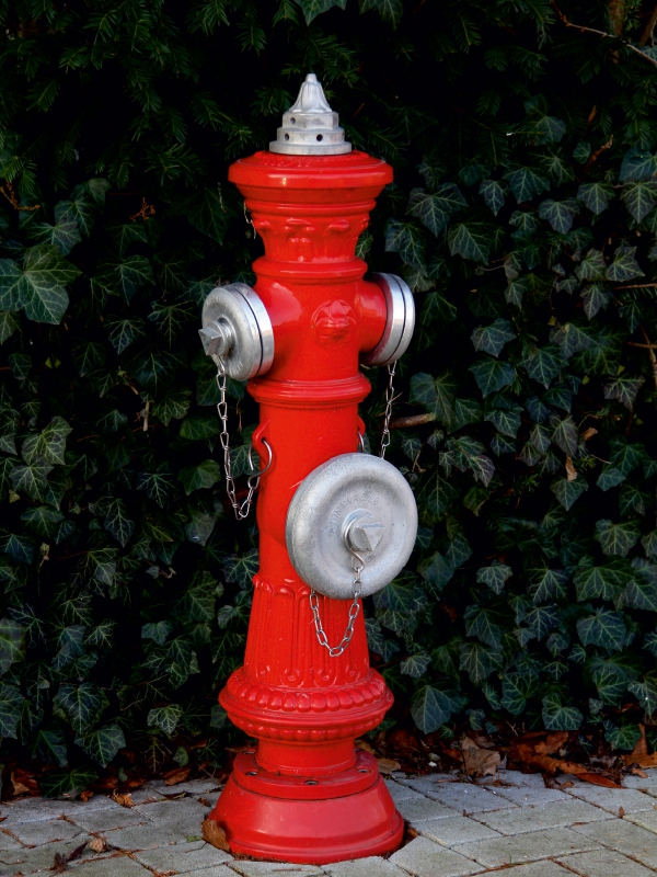 Roter  Hydrant