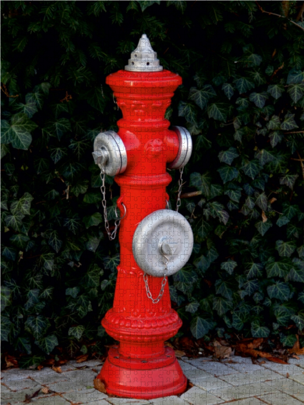 Roter  Hydrant