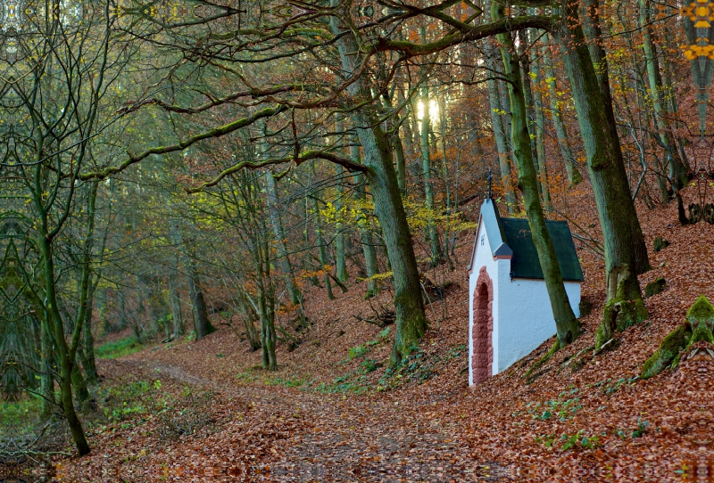 Kreuzweg nach Maria Wald