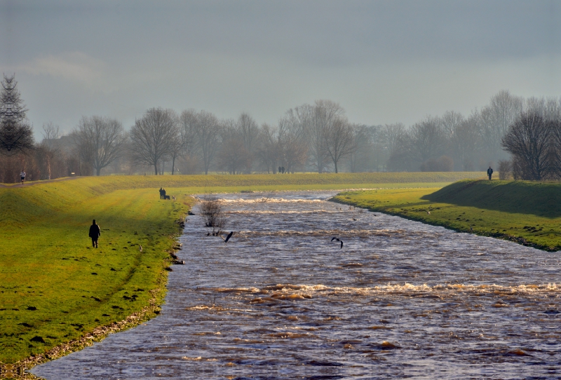 Die Elz bei Wasser