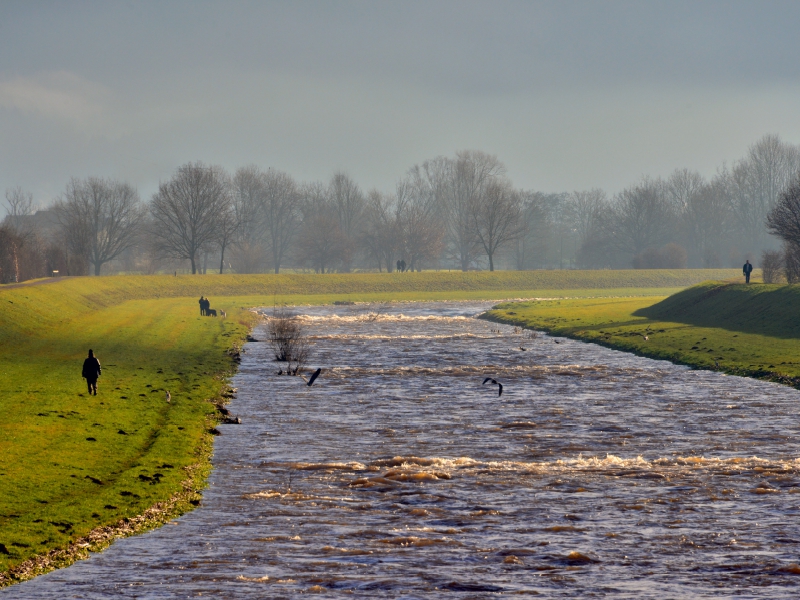 Die Elz bei Wasser