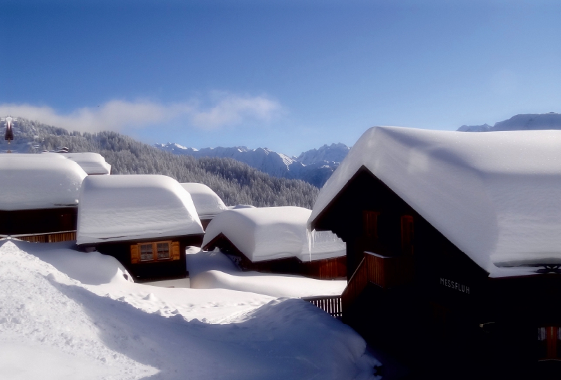 Auf der Bettmeralp / Wallis