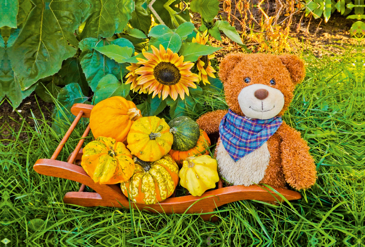 Ein Motiv aus dem Kalender Outdoor Teddies