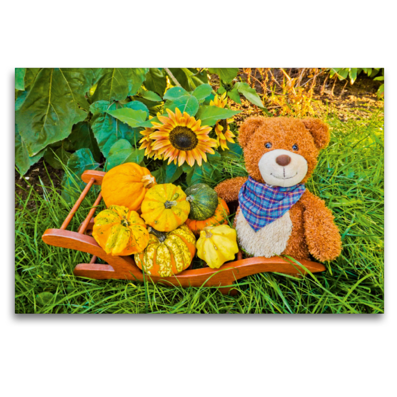 Ein Motiv aus dem Kalender Outdoor Teddies