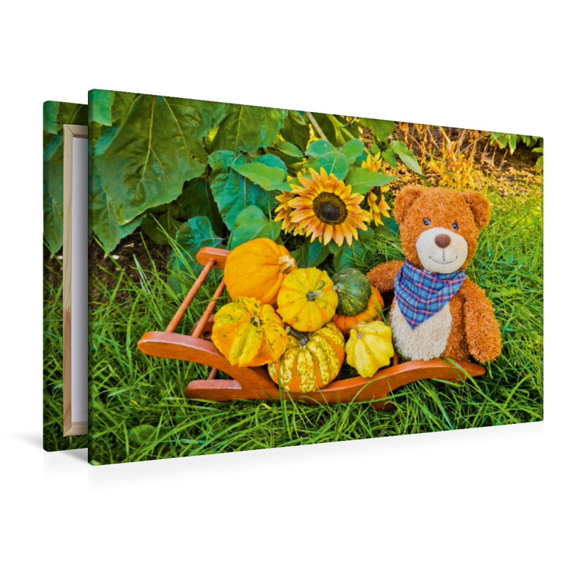 Ein Motiv aus dem Kalender Outdoor Teddies