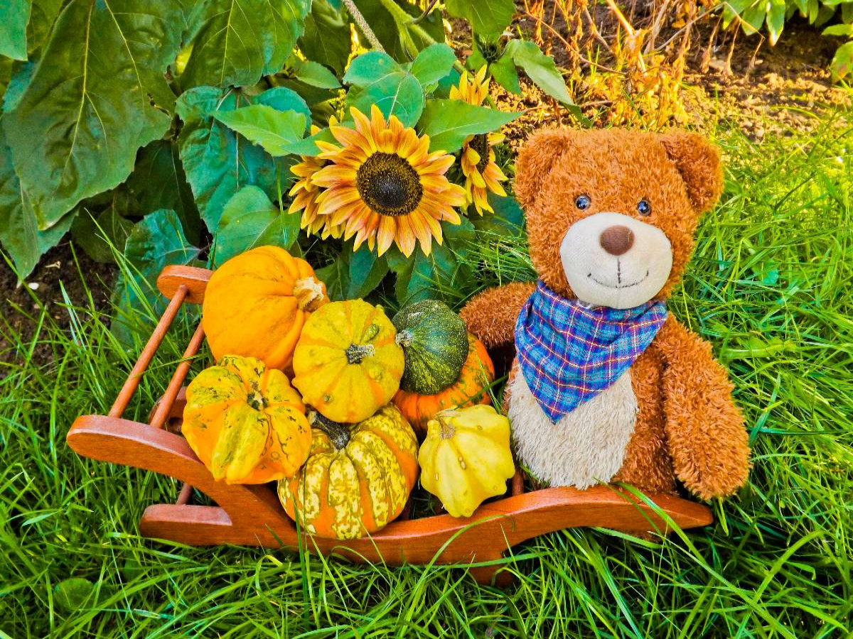 Ein Motiv aus dem Kalender Outdoor Teddies