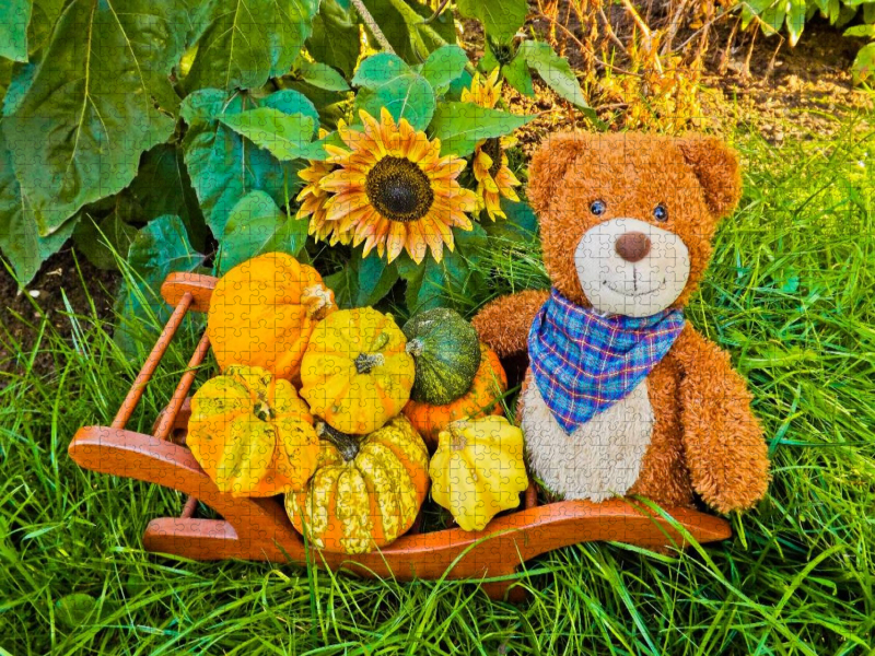 Ein Motiv aus dem Kalender Outdoor Teddies