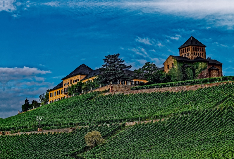 Schloss Johannisberg mit Basilika