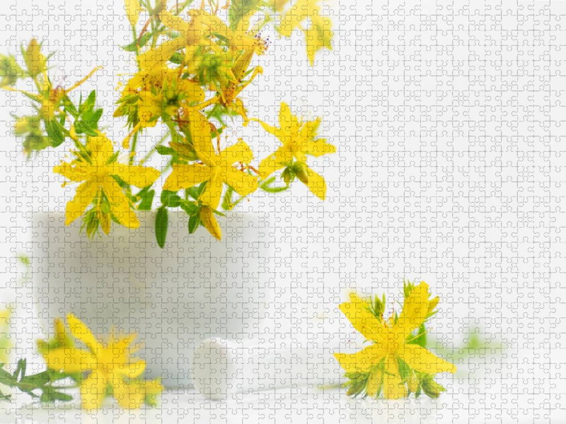 Hypericum perforatum; Johanniskraut