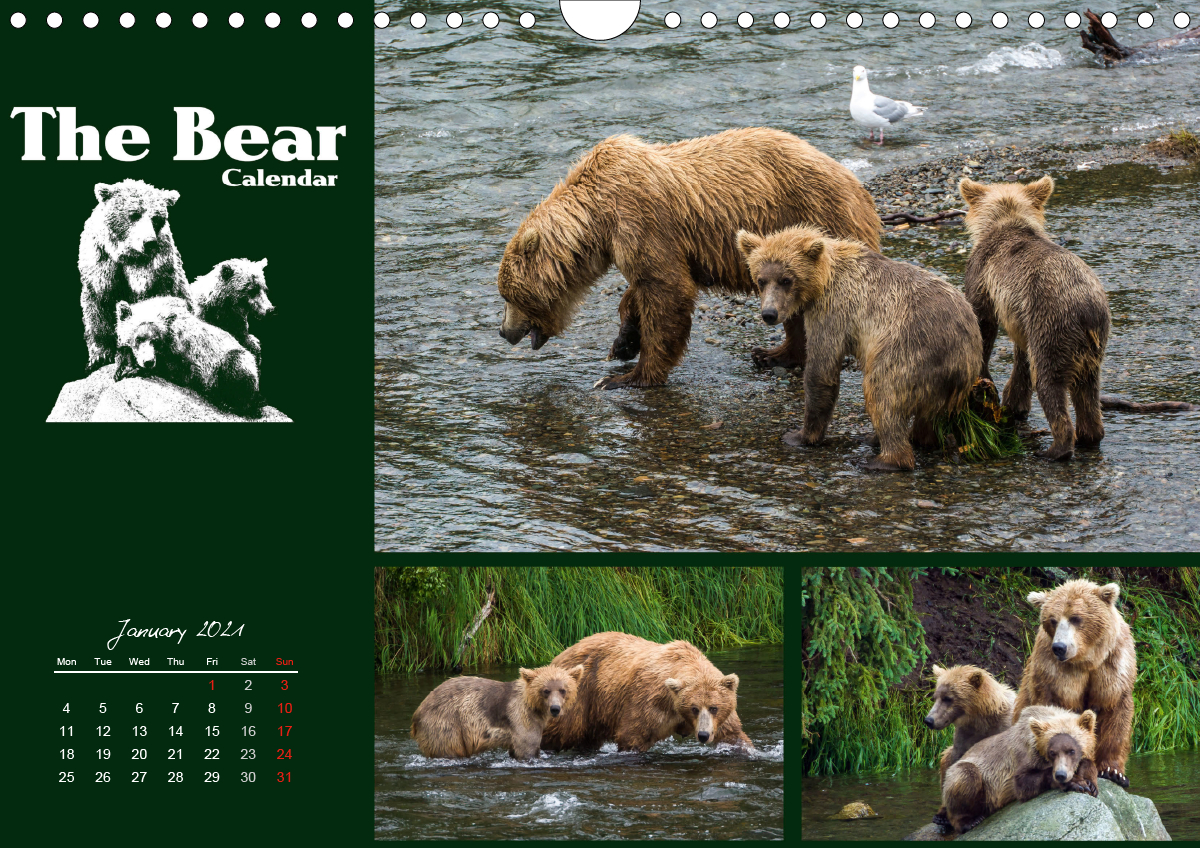 The Bear Calendar / UKVersion CALVENDO