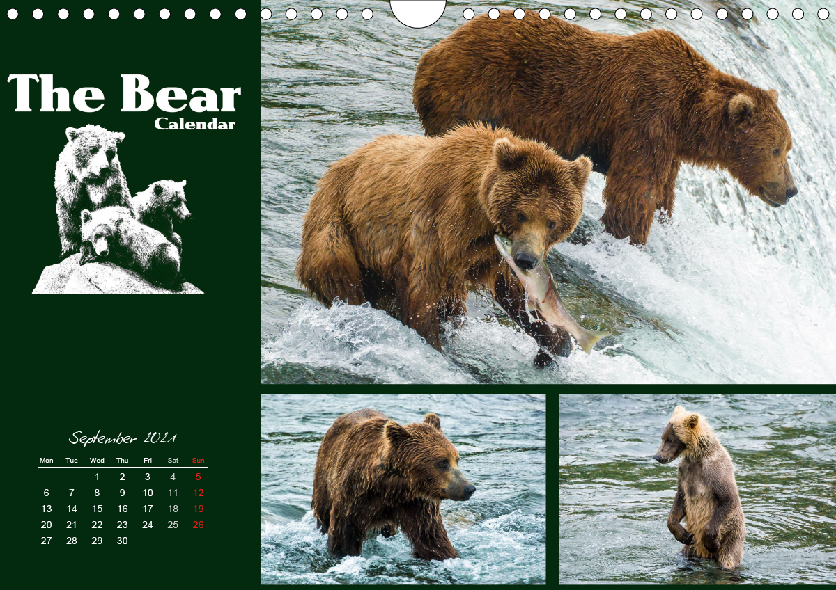 The Bear Calendar / UKVersion CALVENDO