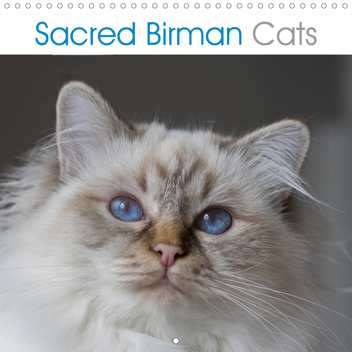 Sacred Birman Cats CALVENDO